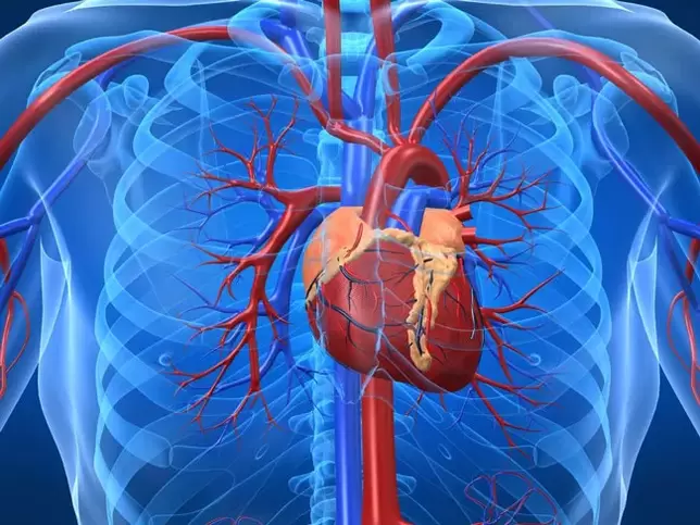Vaje za povečanje moči so kontraindicirane pri boleznih srca